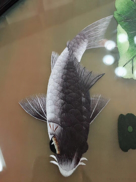 芙蓉锦鲤双面绣 大师级绣